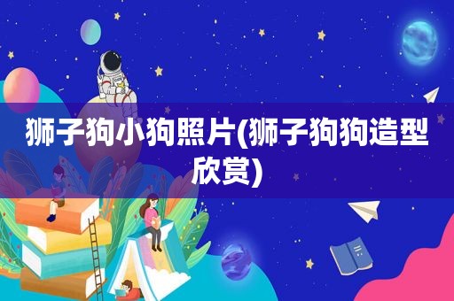 狮子狗小狗照片(狮子狗狗造型欣赏)