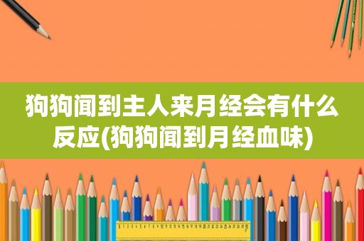 狗狗闻到主人来月经会有什么反应(狗狗闻到月经血味)
