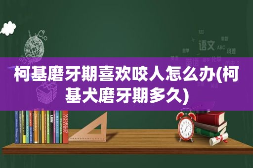 柯基磨牙期喜欢咬人怎么办(柯基犬磨牙期多久)