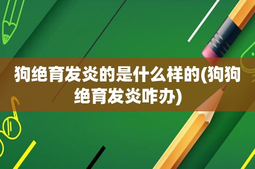 狗绝育发炎的是什么样的(狗狗绝育发炎咋办)