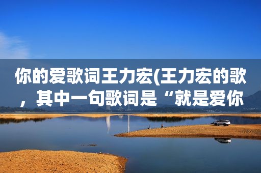 你的爱歌词王力宏(王力宏的歌，其中一句歌词是“就是爱你，爱着你”，是什么歌)