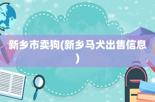 新乡市卖狗(新乡马犬出售信息)