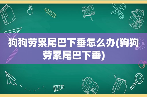狗狗劳累尾巴下垂怎么办(狗狗劳累尾巴下垂)