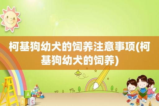 柯基狗幼犬的饲养注意事项(柯基狗幼犬的饲养)