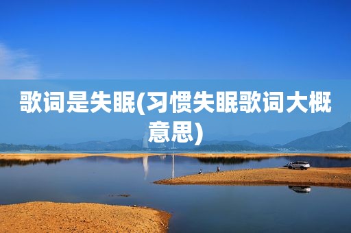 歌词是失眠(习惯失眠歌词大概意思)