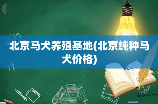 北京马犬养殖基地(北京纯种马犬价格)