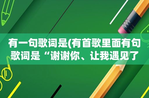有一句歌词是(有首歌里面有句歌词是“谢谢你、让我遇见了你。谢谢你……”这是什么歌呀)