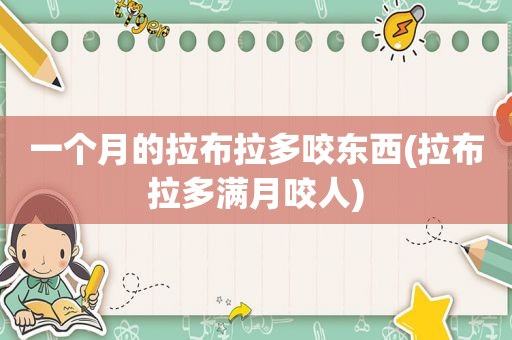 一个月的拉布拉多咬东西(拉布拉多满月咬人)