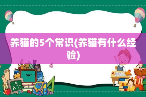 养猫的5个常识(养猫有什么经验)