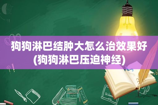 狗狗淋巴结肿大怎么治效果好(狗狗淋巴压迫神经)