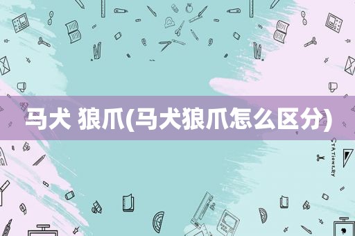 马犬 狼爪(马犬狼爪怎么区分)