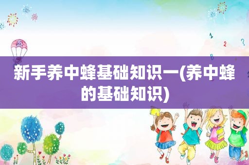 新手养中蜂基础知识一(养中蜂的基础知识)