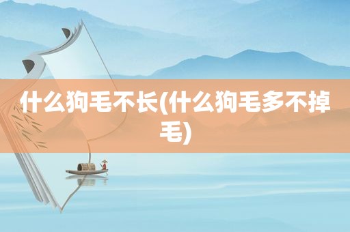 什么狗毛不长(什么狗毛多不掉毛)