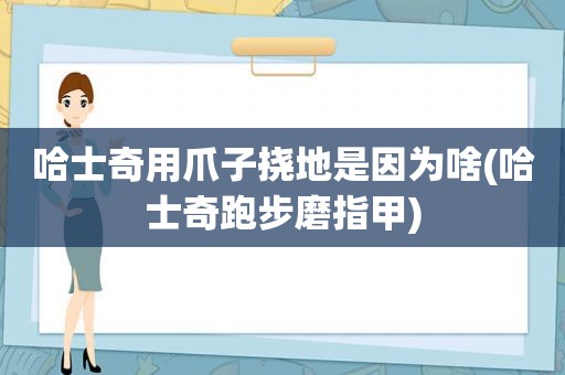 哈士奇用爪子挠地是因为啥(哈士奇跑步磨指甲)