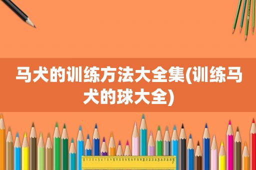 马犬的训练方法大全集(训练马犬的球大全)