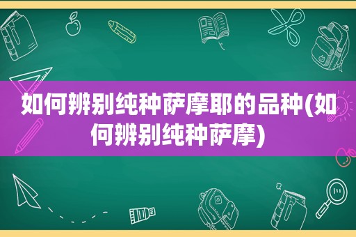 如何辨别纯种萨摩耶的品种(如何辨别纯种萨摩)