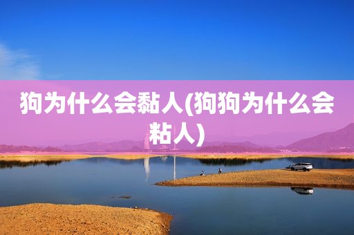 狗为什么会黏人(狗狗为什么会粘人)