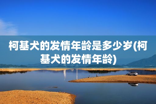 柯基犬的 *** 年龄是多少岁(柯基犬的 *** 年龄)