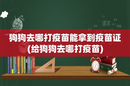 狗狗去哪打疫苗能拿到疫苗证(给狗狗去哪打疫苗)