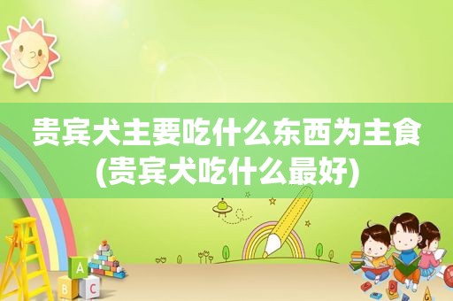 贵宾犬主要吃什么东西为主食(贵宾犬吃什么最好)