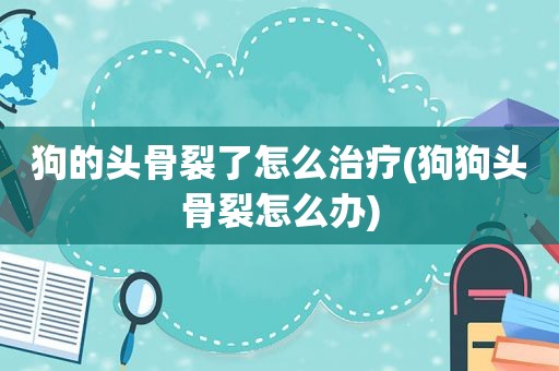 狗的头骨裂了怎么治疗(狗狗头骨裂怎么办)