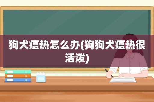 狗犬瘟热怎么办(狗狗犬瘟热很活泼)