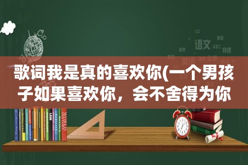 歌词我是真的喜欢你(一个男孩子如果喜欢你，会不舍得为你花钱吗)