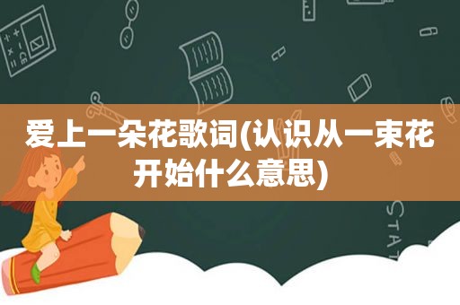 爱上一朵花歌词(认识从一束花开始什么意思)