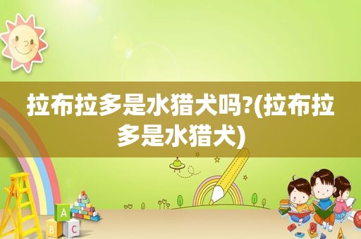 拉布拉多是水猎犬吗?(拉布拉多是水猎犬)