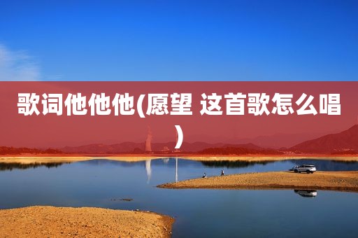 歌词他他他(愿望 这首歌怎么唱)
