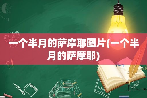 一个半月的萨摩耶图片(一个半月的萨摩耶)