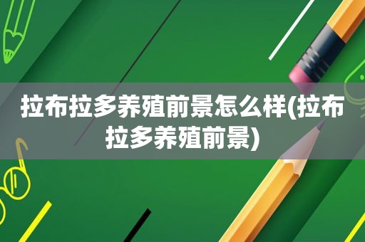 拉布拉多养殖前景怎么样(拉布拉多养殖前景)
