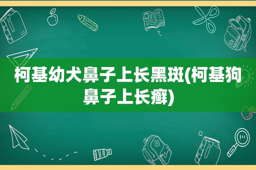 柯基幼犬鼻子上长黑斑(柯基狗鼻子上长癣)