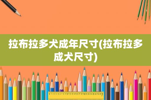 拉布拉多犬成年尺寸(拉布拉多成犬尺寸)