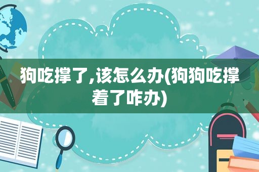 狗吃撑了,该怎么办(狗狗吃撑着了咋办)