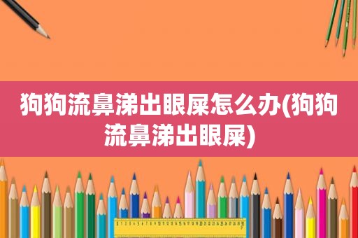 狗狗流鼻涕出眼屎怎么办(狗狗流鼻涕出眼屎)