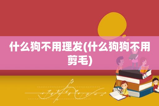 什么狗不用理发(什么狗狗不用剪毛)