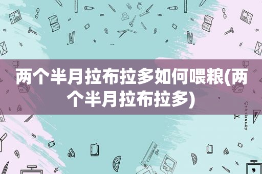 两个半月拉布拉多如何喂粮(两个半月拉布拉多)