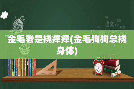 金毛老是挠痒痒(金毛狗狗总挠身体)