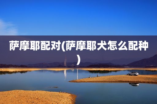 萨摩耶配对(萨摩耶犬怎么配种)