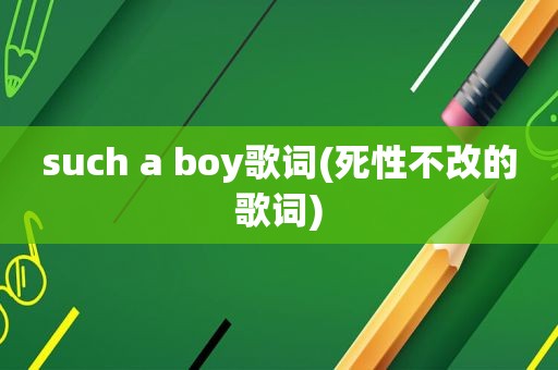 such a boy歌词(死性不改的歌词)