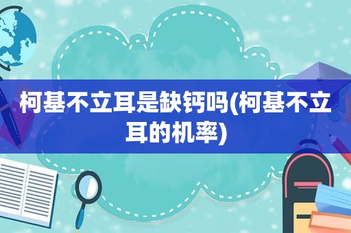 柯基不立耳是缺钙吗(柯基不立耳的机率)
