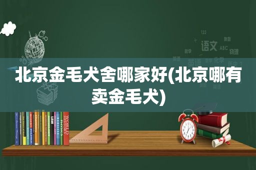 北京金毛犬舍哪家好(北京哪有卖金毛犬)