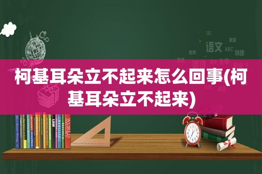 柯基耳朵立不起来怎么回事(柯基耳朵立不起来)
