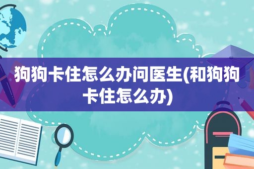狗狗卡住怎么办问医生(和狗狗卡住怎么办)