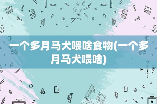 一个多月马犬喂啥食物(一个多月马犬喂啥)