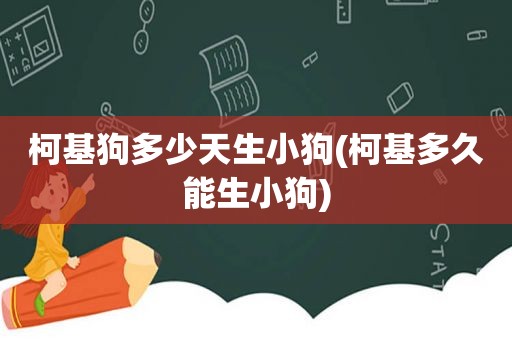 柯基狗多少天生小狗(柯基多久能生小狗)
