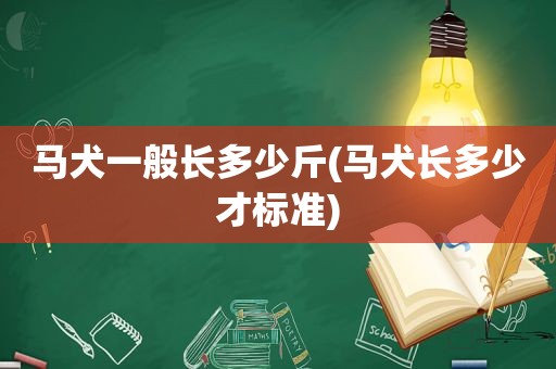 马犬一般长多少斤(马犬长多少才标准)