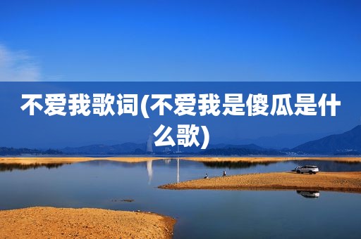 不爱我歌词(不爱我是傻瓜是什么歌)