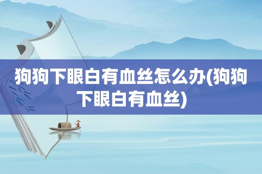 狗狗下眼白有血丝怎么办(狗狗下眼白有血丝)